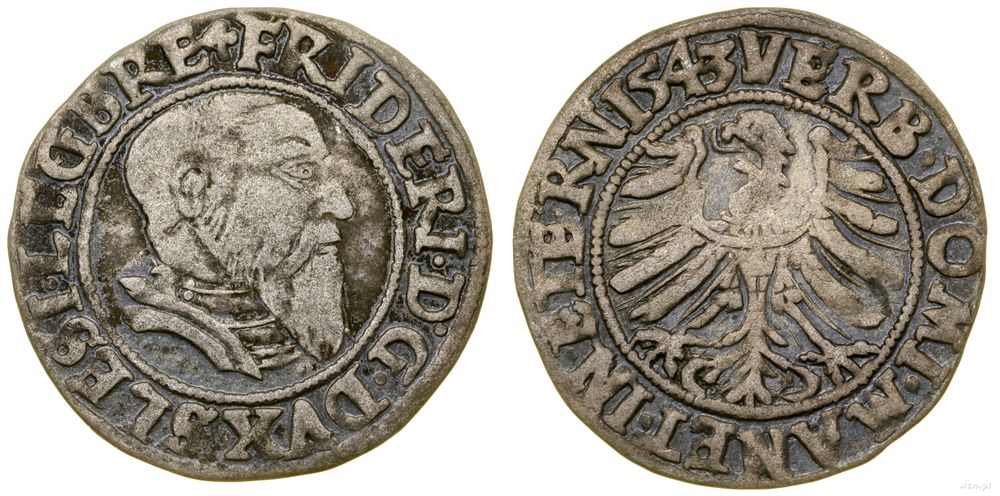 Śląsk, grosz, 1543