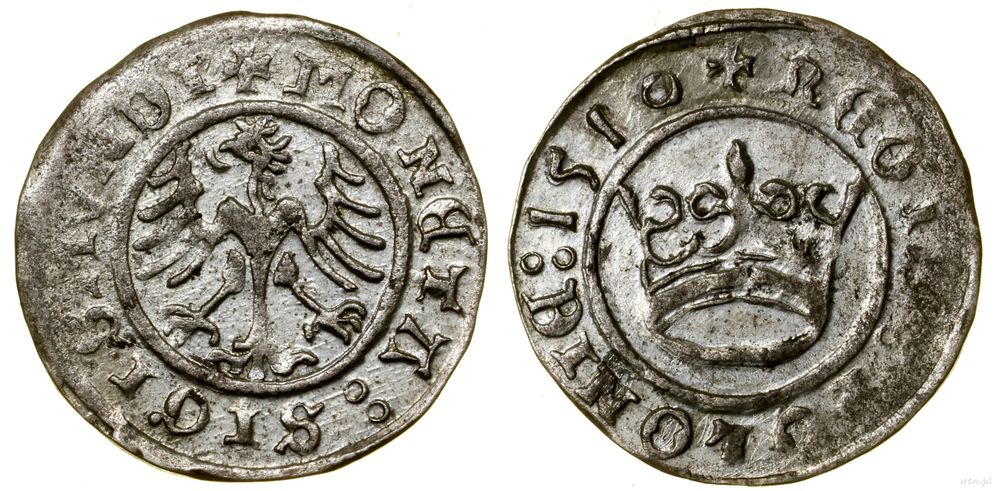 Polska, półgrosz, 1510