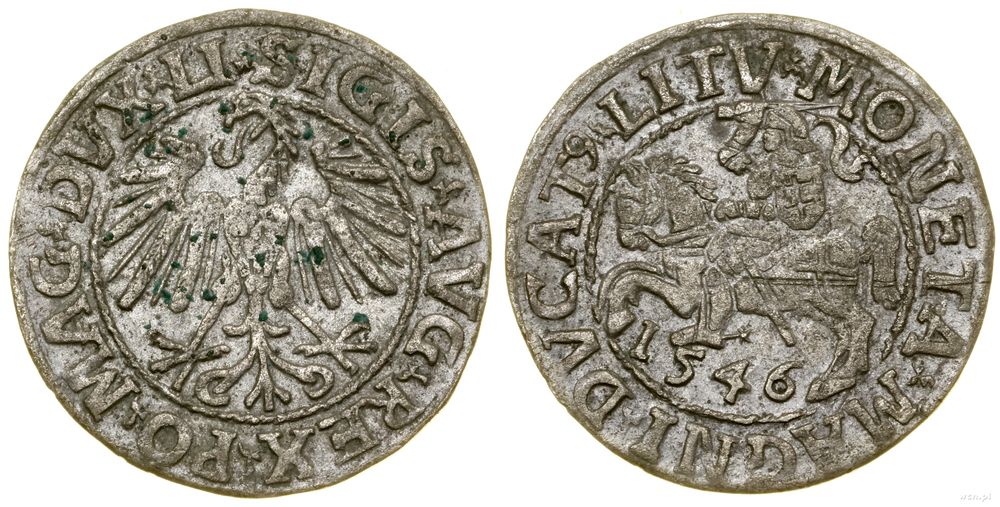 Polska, półgrosz, 1546