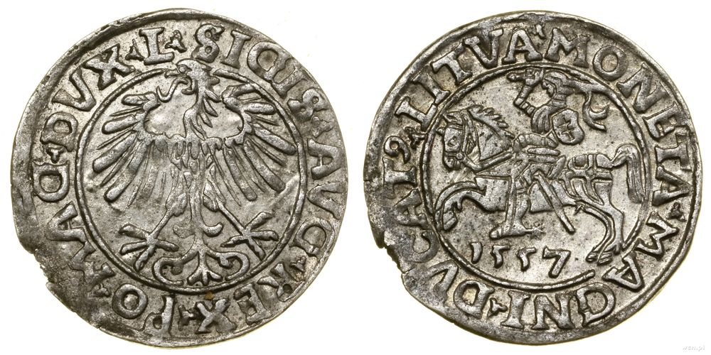 Polska, półgrosz, 1557