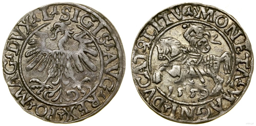 Polska, półgrosz, 1559
