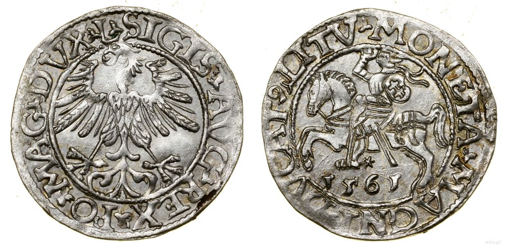 Polska, półgrosz, 1561