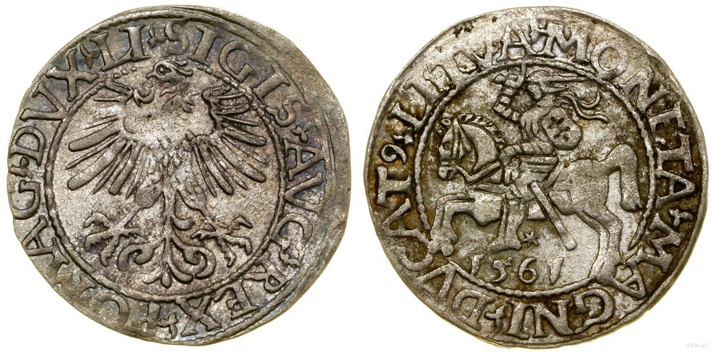 Polska, półgrosz, 1561