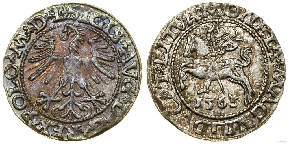 Polska, półgrosz, 1563