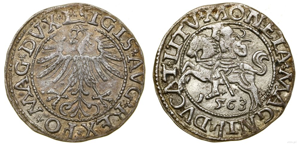 Polska, półgrosz, 1563