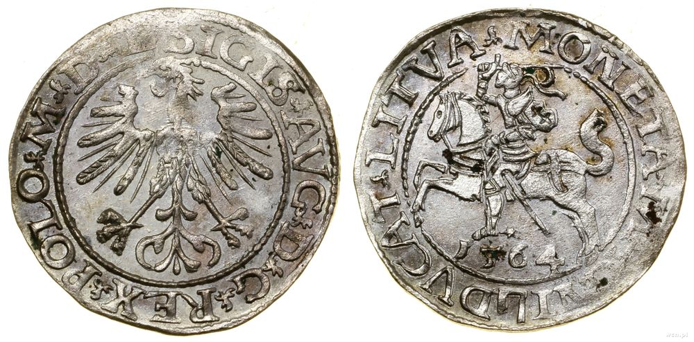 Polska, półgrosz, 1564