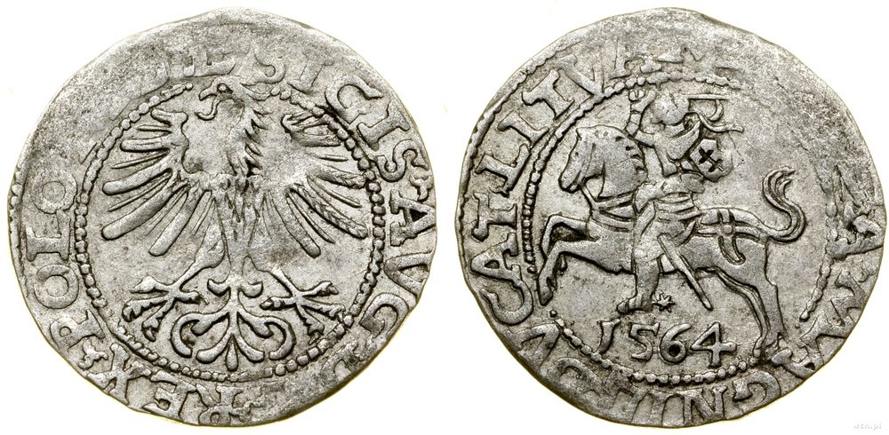 Polska, półgrosz, 1564