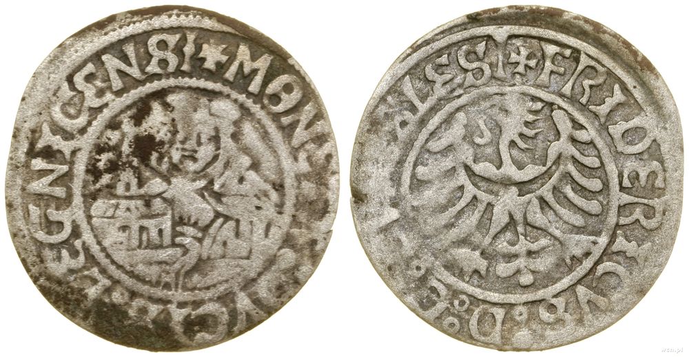 Śląsk, grosz, bez daty (1507–1508?)