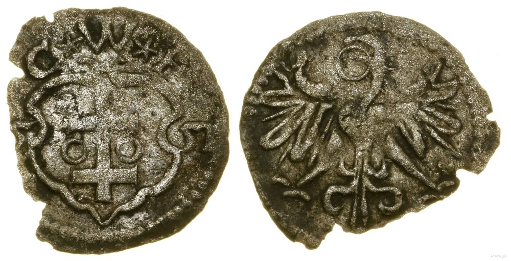 Polska, denar, 1551