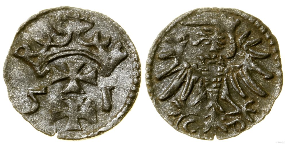 Polska, denar, 1551
