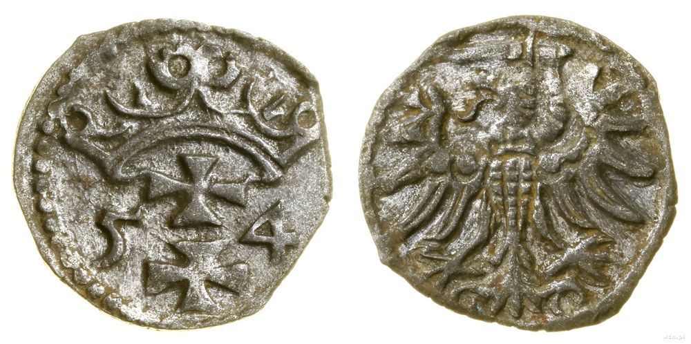 Polska, denar, 1554