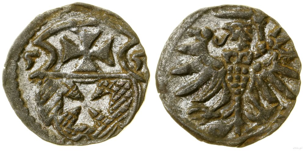 Polska, denar, 1555