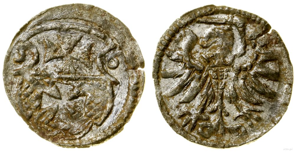 Polska, denar, 1556
