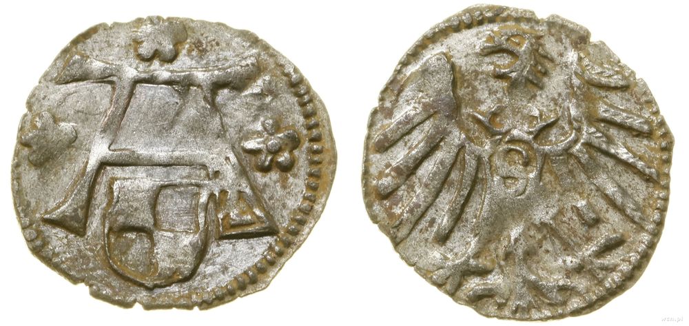 Prusy Książęce (1525–1657), denar, bez daty