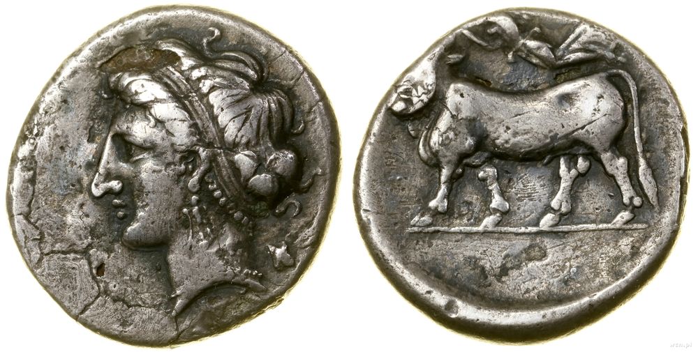 Grecja i posthellenistyczne, drachma/didrachma (?), (ok. IV w. pne)