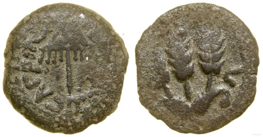 Rzym prowincjonalny, prutah, (42–43 ne)