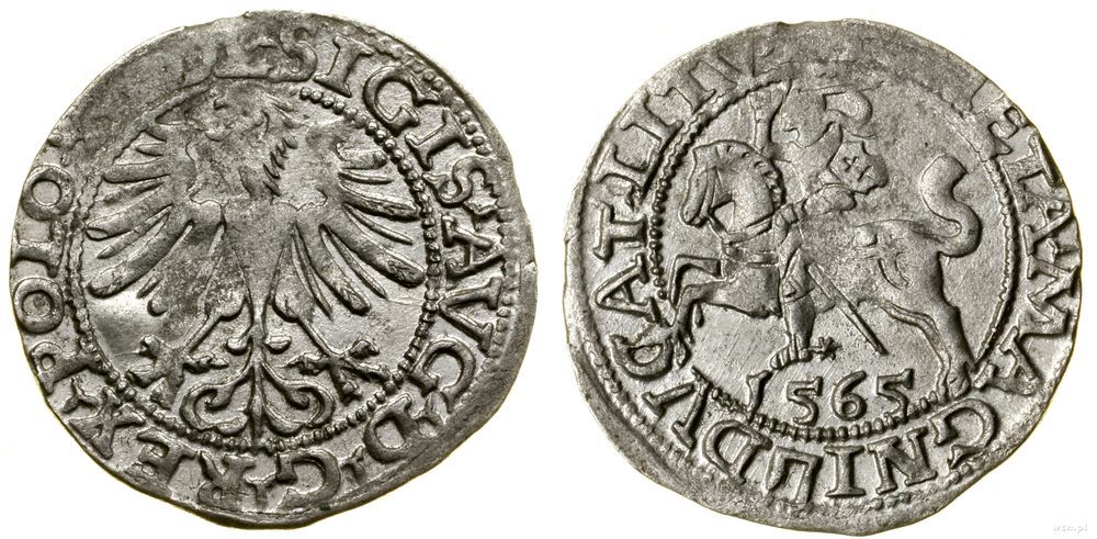 Polska, półgrosz, 1565