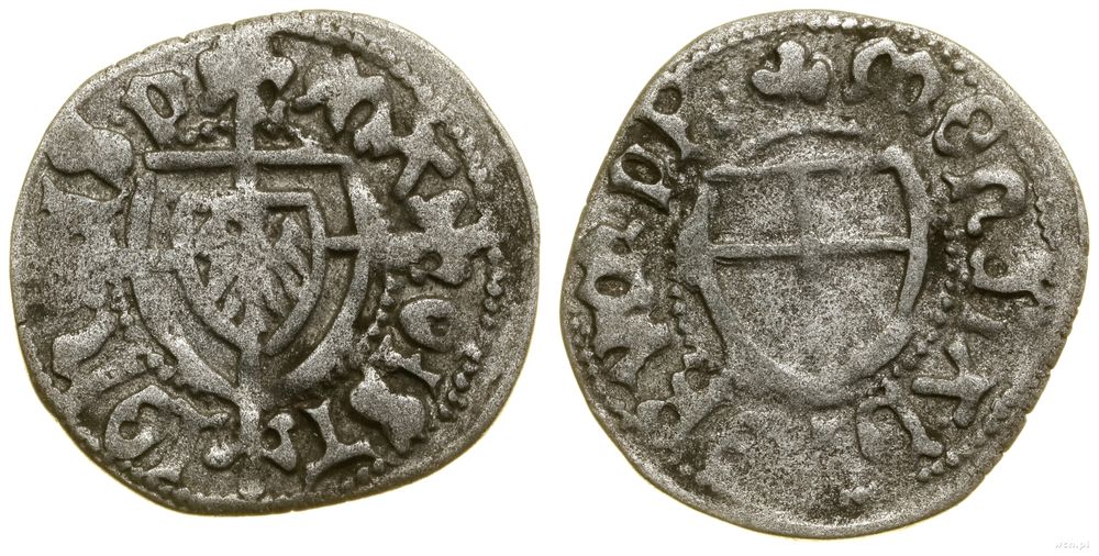 Zakon Krzyżacki, szeląg