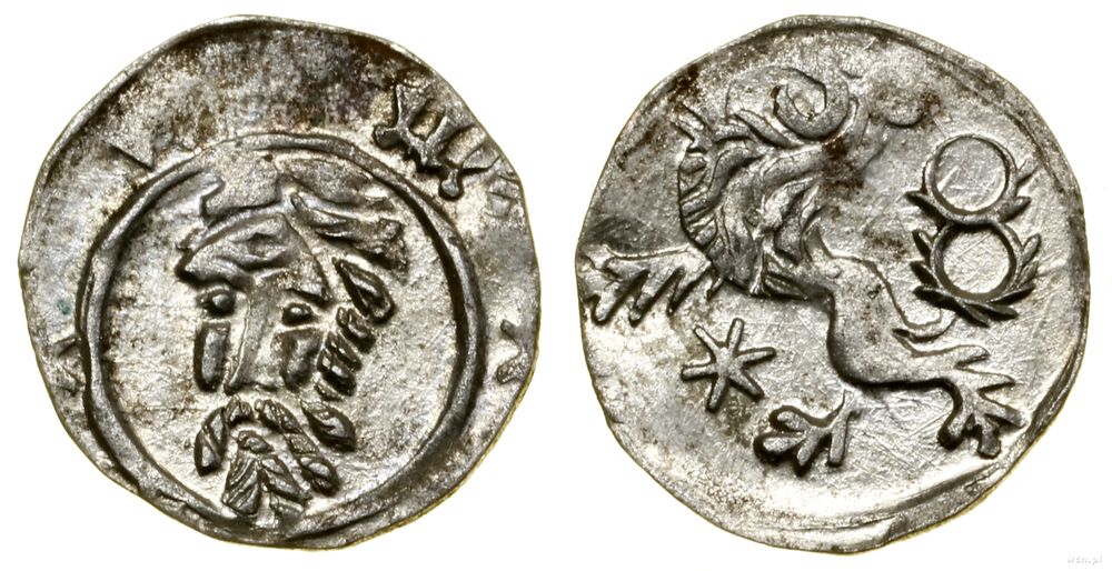 Śląsk, halerz, (1422–1437)