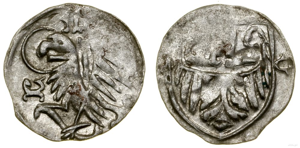 Śląsk, halerz, (przed 1431 (?) i ok. 1432–1449)