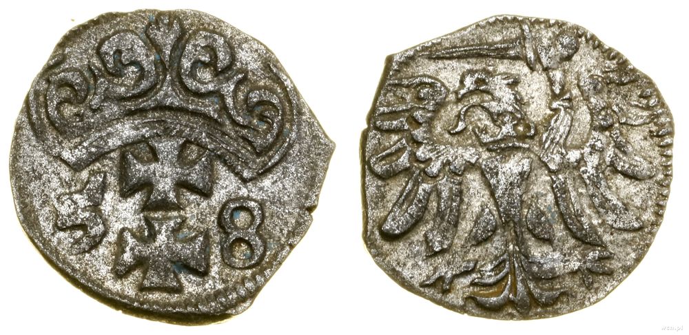 Polska, denar, 1558