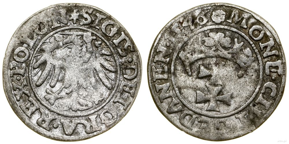 Polska, szeląg, 1546