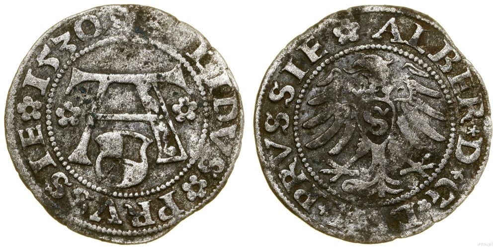 Prusy Książęce (1525–1657), szeląg, 1530
