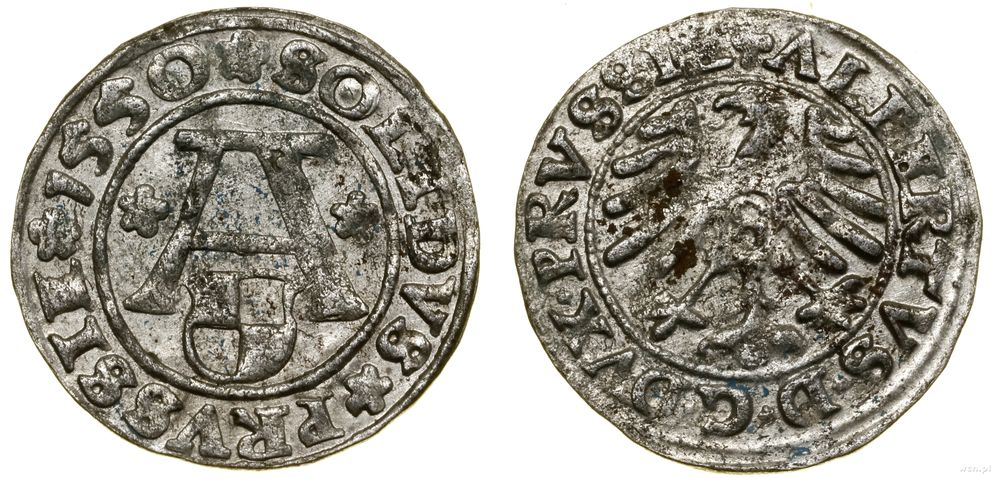 Prusy Książęce (1525–1657), szeląg, 1550