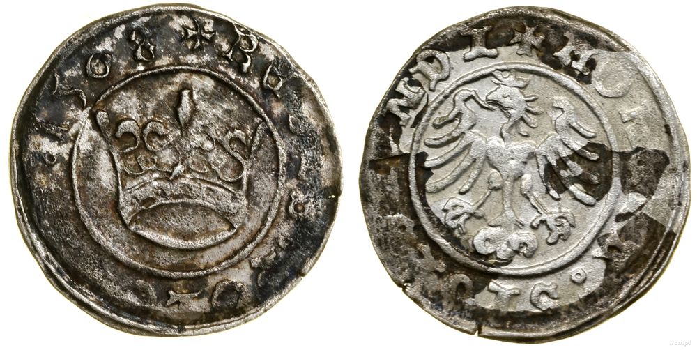 Polska, półgrosz, 1508