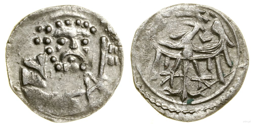 Śląsk, halerz, (1425–1448?)