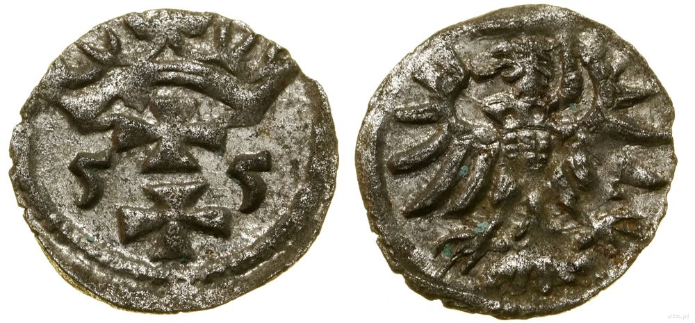 Polska, denar, 1555