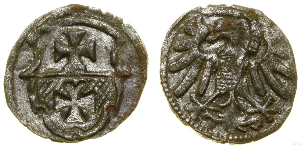 Polska, denar, bez daty