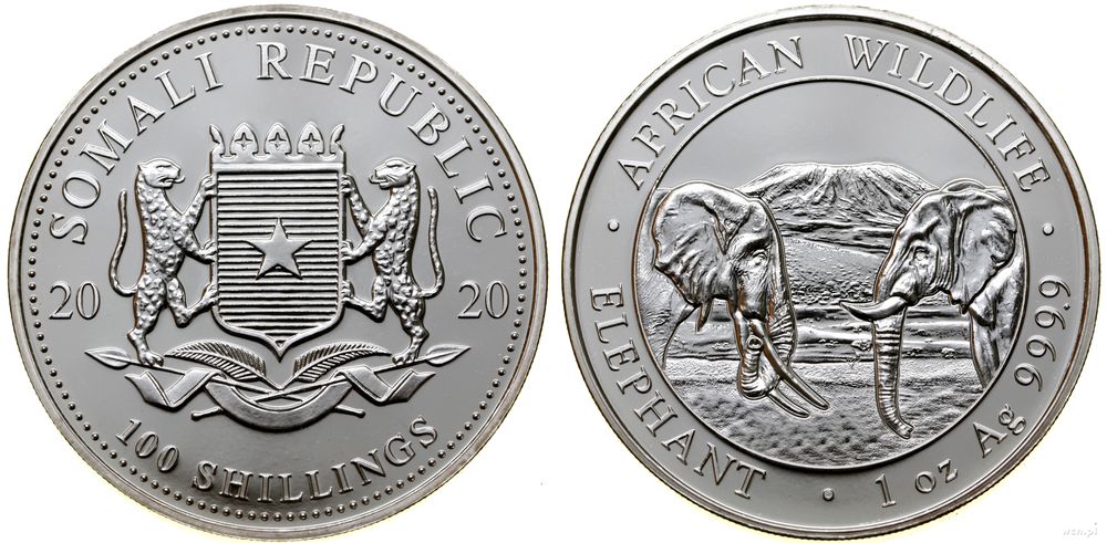Somalia, 100 szylingów, 2020