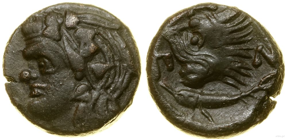 Grecja i posthellenistyczne, brąz, (ok. 310–300 pne)