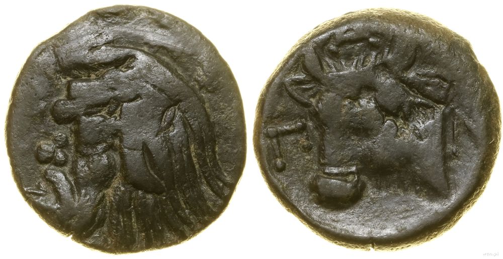 Grecja i posthellenistyczne, brąz, (ok. 325–310 pne)