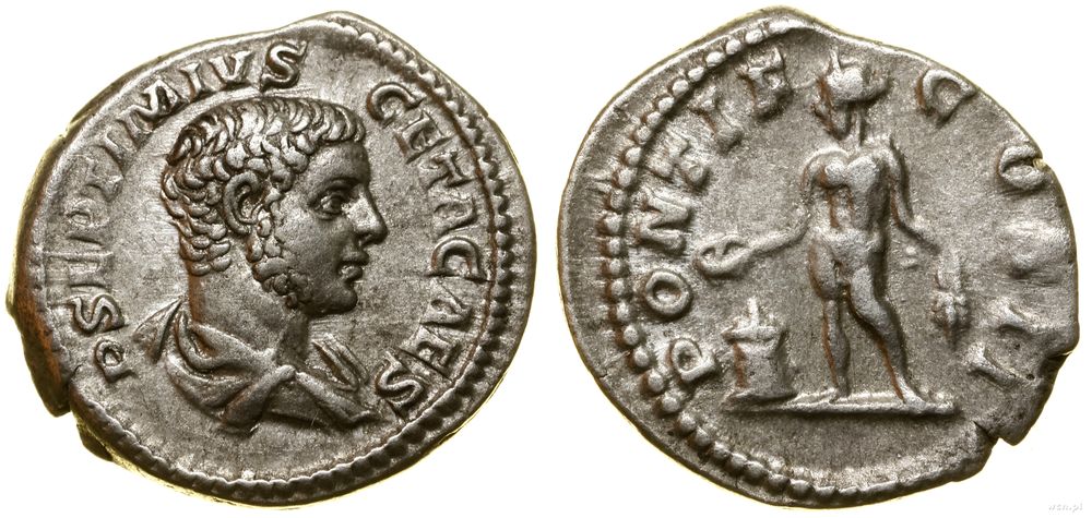 Cesarstwo Rzymskie, denar, (209)