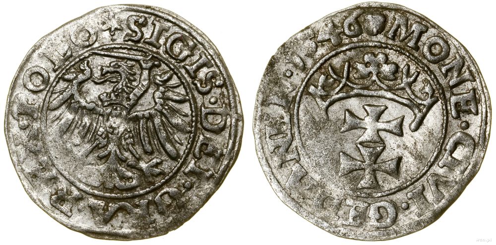 Polska, szeląg, 1546