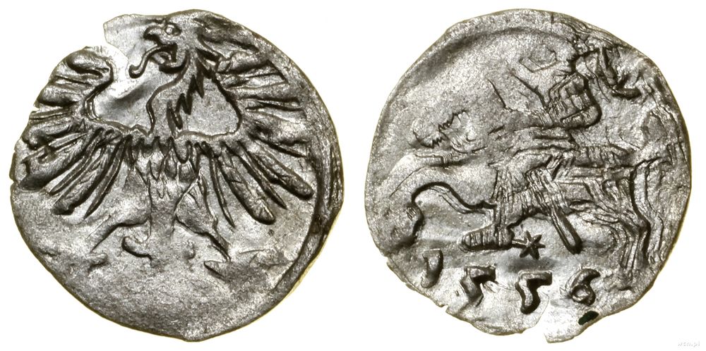 Polska, denar, 1556
