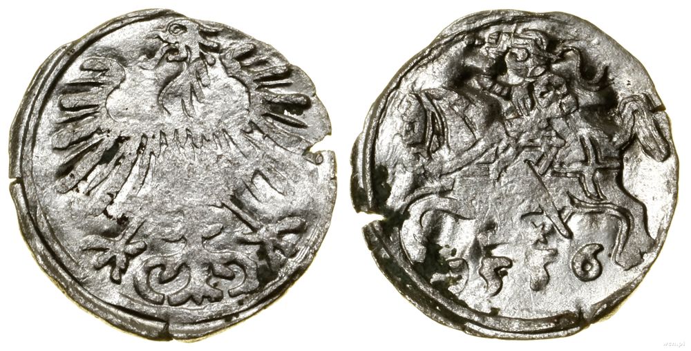 Polska, denar, 1556