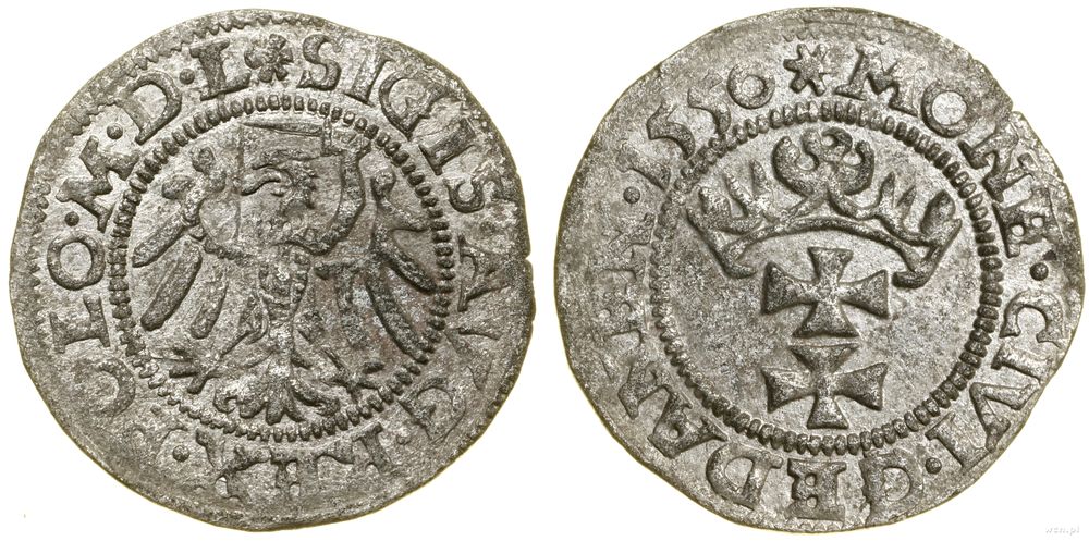 Polska, szeląg, 1550