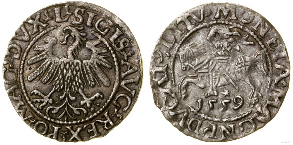 Polska, półgrosz, 1559