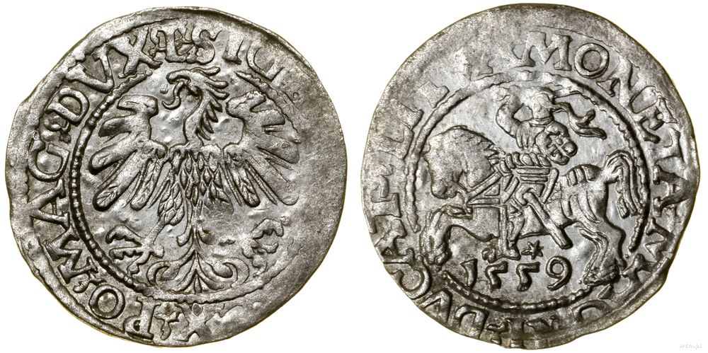 Polska, półgrosz, 1559