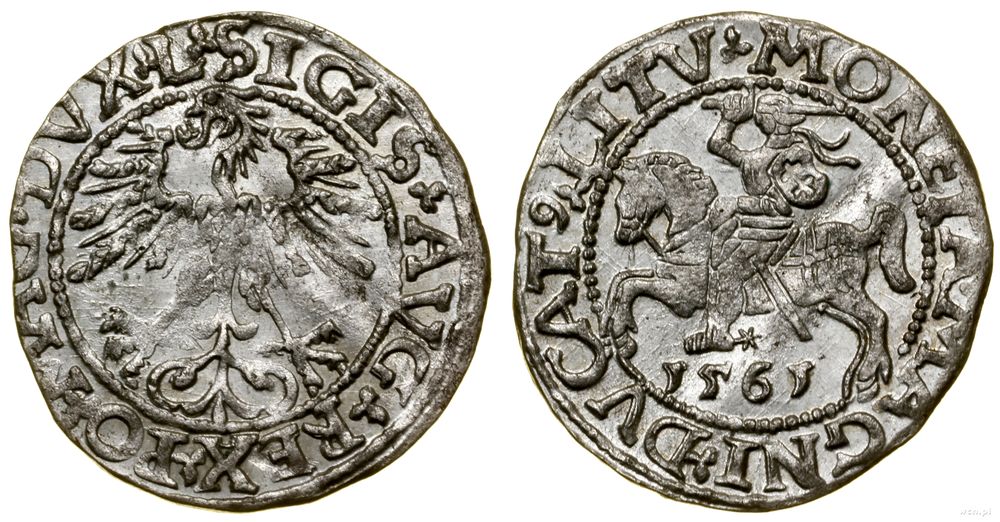 Polska, półgrosz, 1561