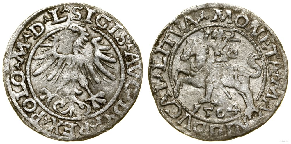 Polska, półgrosz, 1564