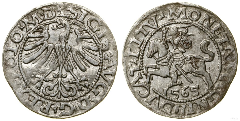 Polska, półgrosz, 1565