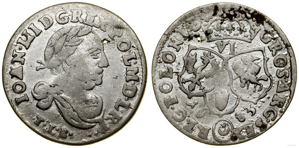 Polska, szóstak, 1683 TLB