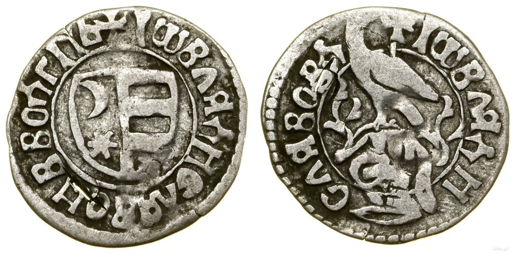 Hospodarstwo Wołoskie, dinar
