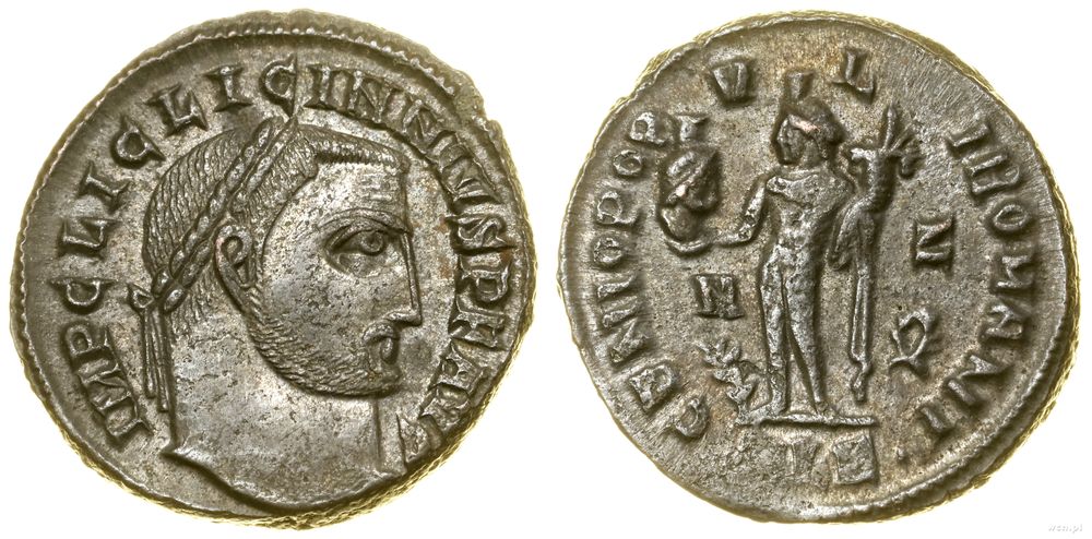 Cesarstwo Rzymskie, follis, (313–314)