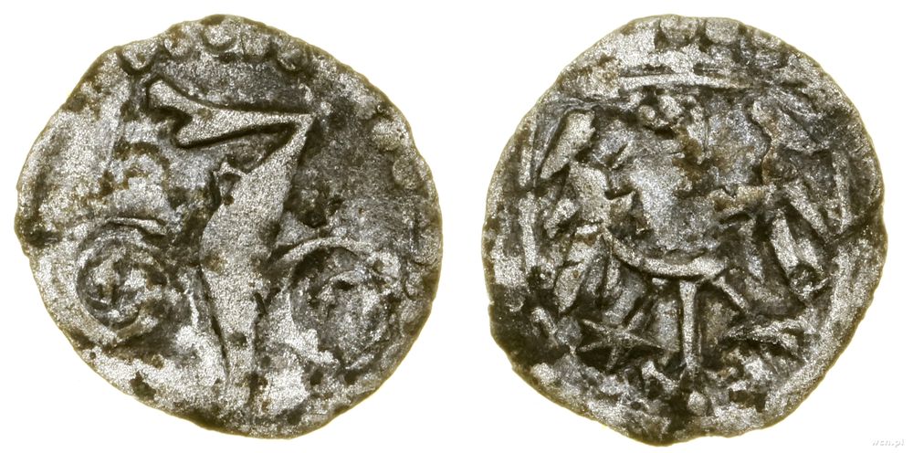 Śląsk, halerz, (1477–1483)