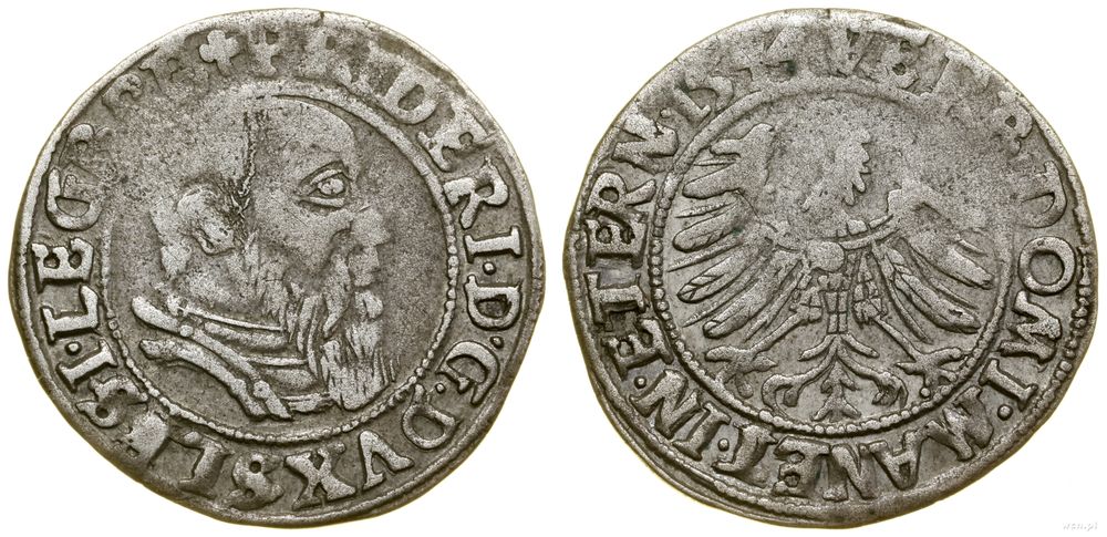 Śląsk, grosz, 1544